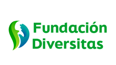 Fundación Diversitas: apoyo integral y empleo para personas en riesgo de exclusión en Madrid
