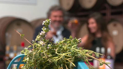 Así se elabora un vermú de violetas