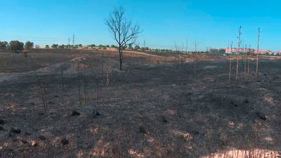 La Policía Municipal de Madrid busca a una banda de jóvenes pirómanos presuntos autores de 10 incendios en la M-40