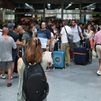 Renfe critica que se retransmitan "en directo" sus averías