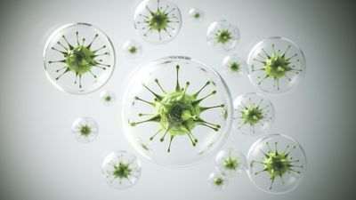 Científicos de la UCM alertan de un gen que hace invencibles a las bacterias frente a los antibióticos: "Si no actuamos ya..."