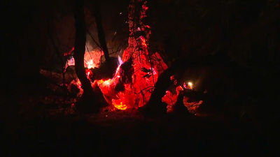 Noche de lucha contra las llamas: más de 130 efectivos movilizados tras activarse el nivel 2 del Plan Infoma en Méntrida