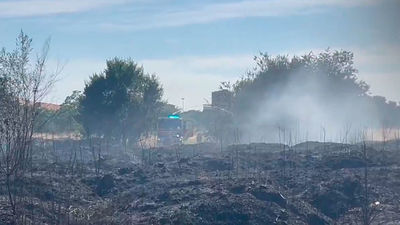 Seis heridos leves por inhalación de humo en un incendio de pasto en Carabanchel