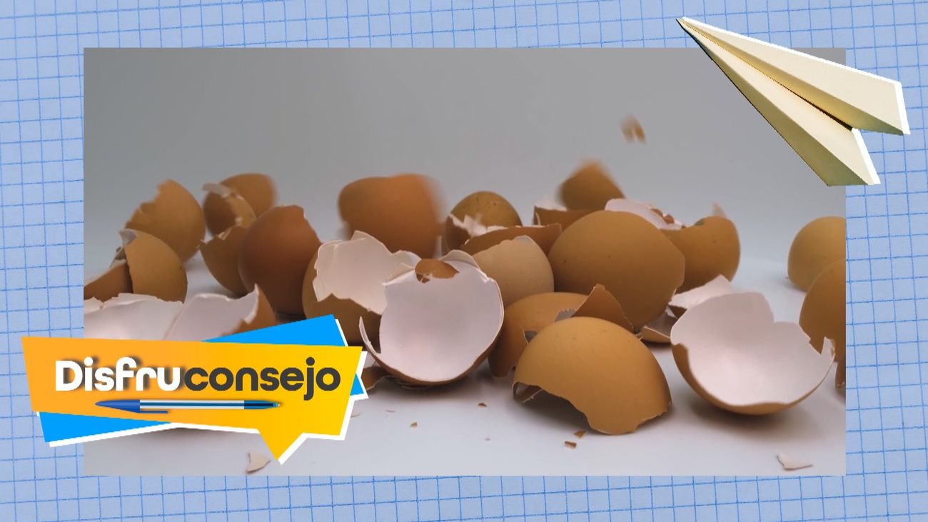 Las cáscaras de huevo son ideales para regar las plantas