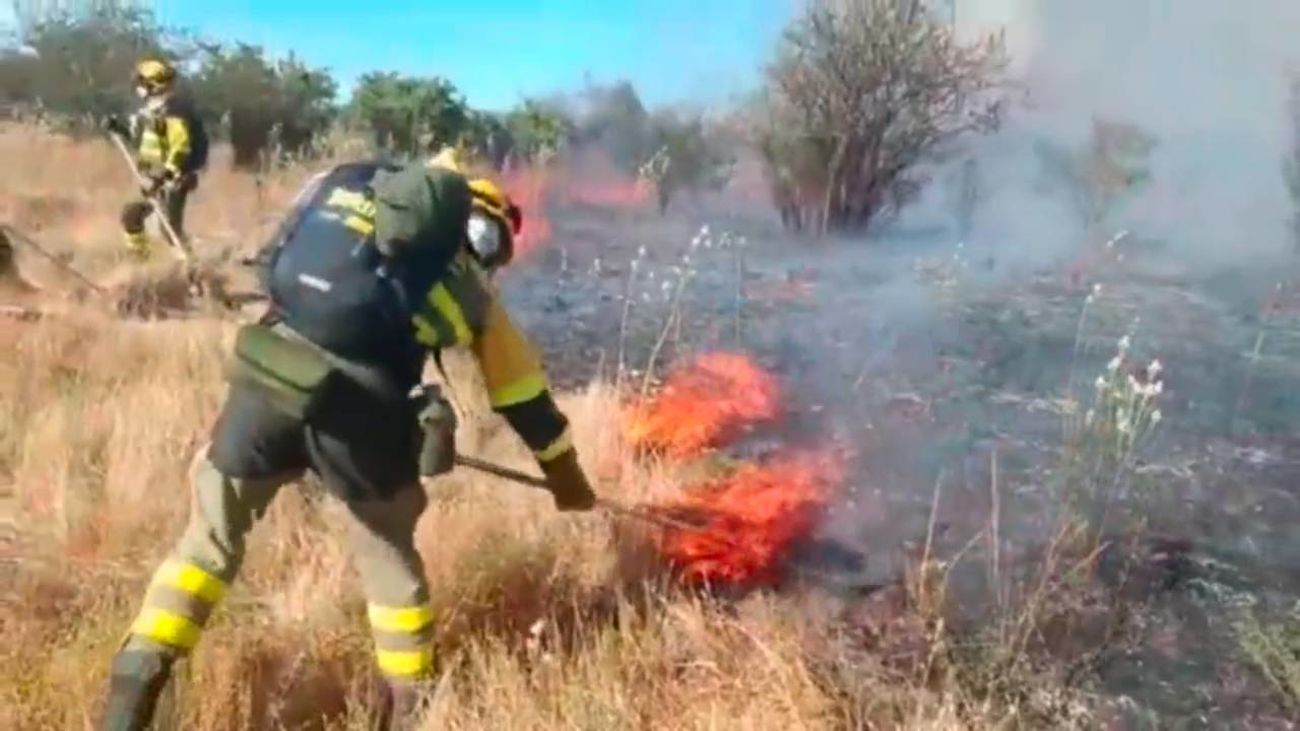 Arde España: controlados los incendios de Badajoz, Toledo y Palencia