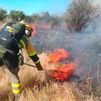 Arde España: controlados los incendios de Badajoz, Toledo y Palencia