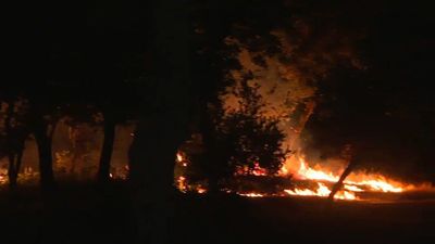 Incendio en la Casa de Campo de Madrid junto al Zoo: las llamas se quedaron a pocos metros de los animales