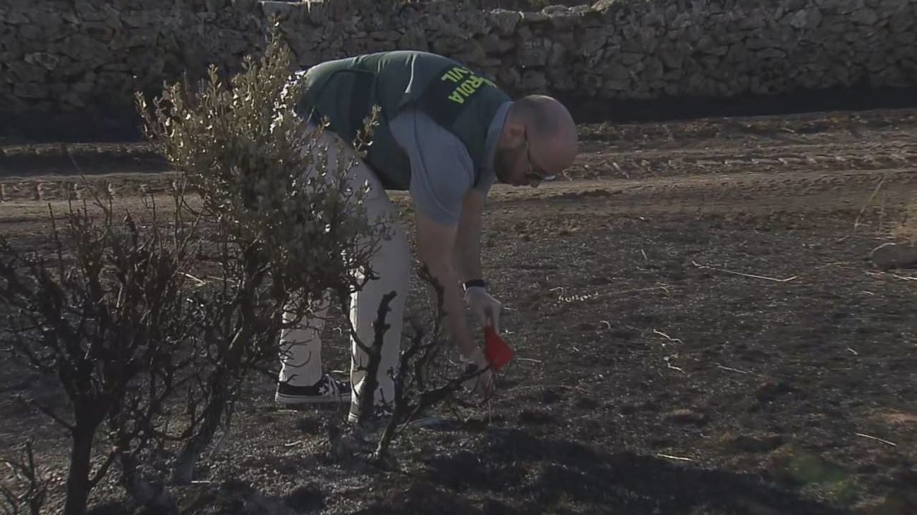 78 incendios forestales en Madrid en solo una semana: el Seprona los investiga como un asesinato