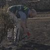 78 incendios forestales en Madrid en solo una semana: el Seprona los investiga como un asesinato