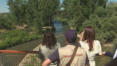 2026 será el Año del Medio Ambiente en la Comunidad de Madrid