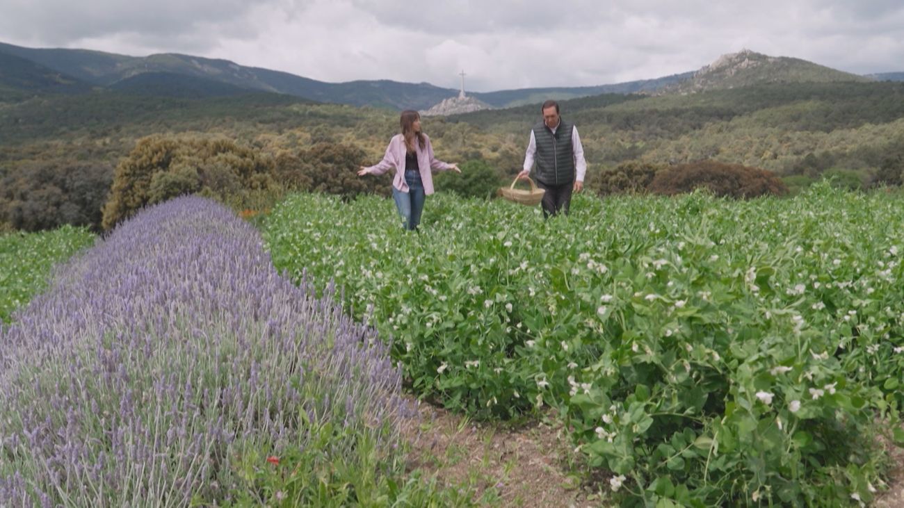 De la huerta al plato: el proyecto de los hermanos Sandoval en San Lorenzo de El Escorial