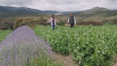 De la huerta al plato: el proyecto de los hermanos Sandoval en San Lorenzo de El Escorial