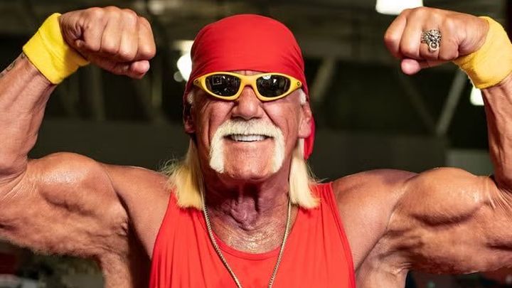 Hulk Hogan / WWE