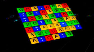 Científicos logran el mapa más completo del genoma humano hasta la fecha
