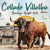 Suspendidos los festejos taurinos en Collado Villaba por orden del Tribunal Administrativo de Contratación