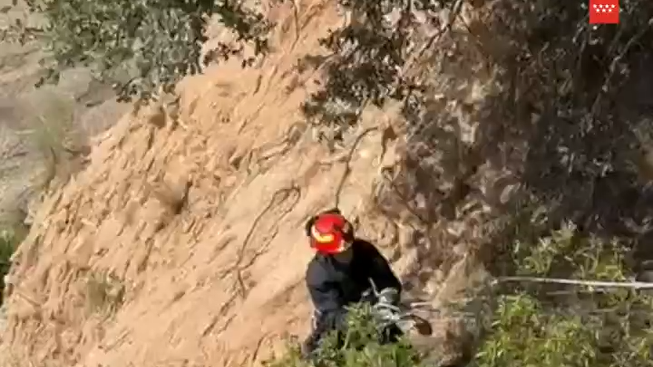 Rescatan a un perro que había quedado atrapado en unos cortados en Aldea del Fresno