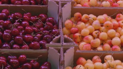 Madrid mejora tu vida 26.07.2025