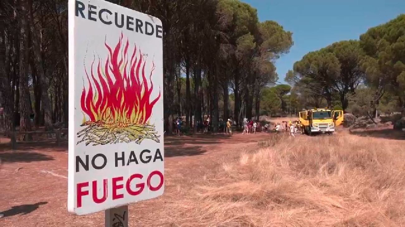 Estas son las multas por provocar un incendio: más de un millón de euros y 20 años de cárcel