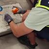 Los 'fruteros de la droga': la Policía les pilla con 3.500 kg de hachís convertido en naranjas