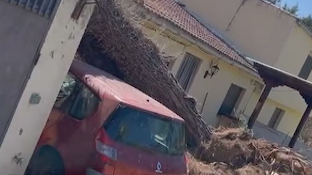 Un árbol de grandes dimensiones se derrumba sobre la casa de una vecina de Torrelaguna