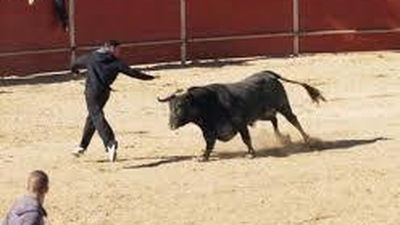 Fresno de Torote recupera los encierros durante sus fiestas patronales