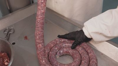 Aquí se hace 04.08.2025