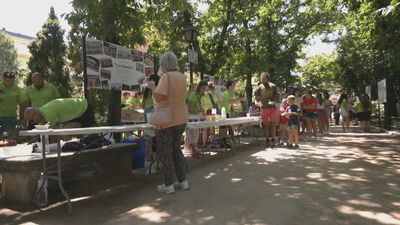 El Escorial celebra las 'Fiestas de mozos, casados y viudos'