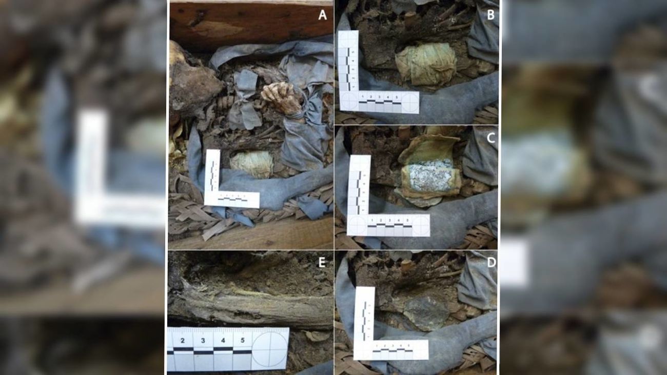 ¿Cómo eran los funerales en el Madrid del siglo XIX? La UCM lo descubre a partir del cuerpo momificado de una niña