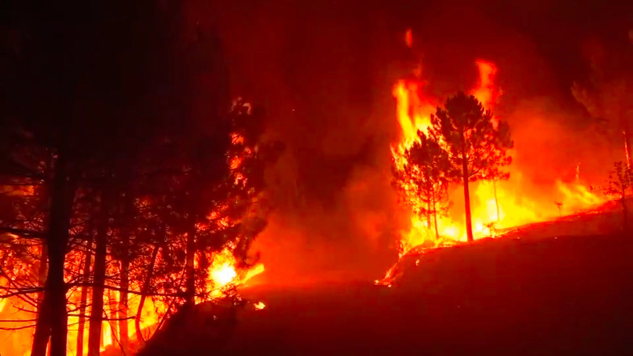 La gestión de los bosques y la responsabilidad de todos la mejor arma para combatir los incendios
