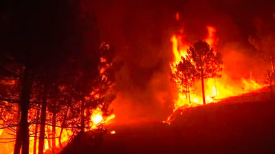 La gestión de los bosques y la responsabilidad de todos la mejor arma para combatir los incendios