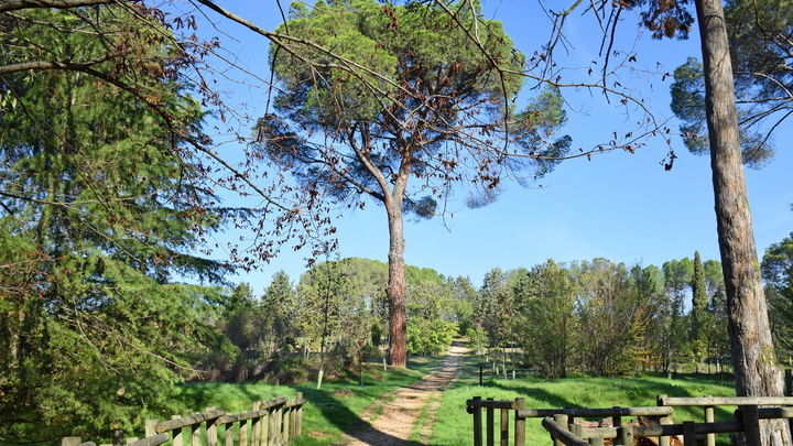 Parque El Forestal en Villaviciosa de Odón / COMUNIDAD DE MADRID