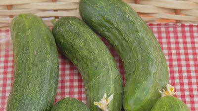 Madrid mejora tu vida 02.08.2025