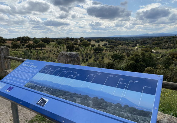 Dehesa Boyal, declarada Monte de Utilidad Pública / Comunidad de Madrid