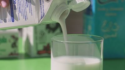 Aquí se hace 18.08.2025