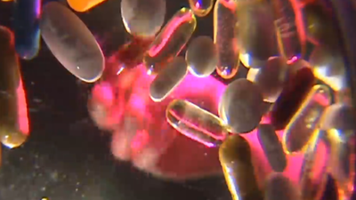 Vitamina D sin ningún tipo de control: la nueva moda de venta online y sus graves consecuencias