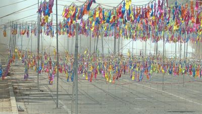 Aldaia retumba con la mascletá más potente de la historia de 1.310 kilos de pólvora