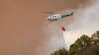 Incendio en Tarifa: más de 100 efectivos luchan contra el fuego en una zona de gran turismo