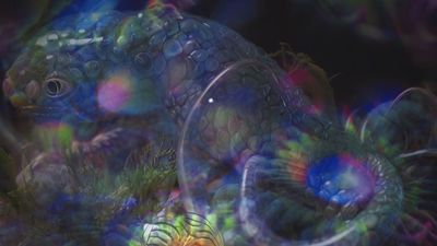 El Thyssen invita a cuidar el planeta con su exposición: 'Terrafilia'