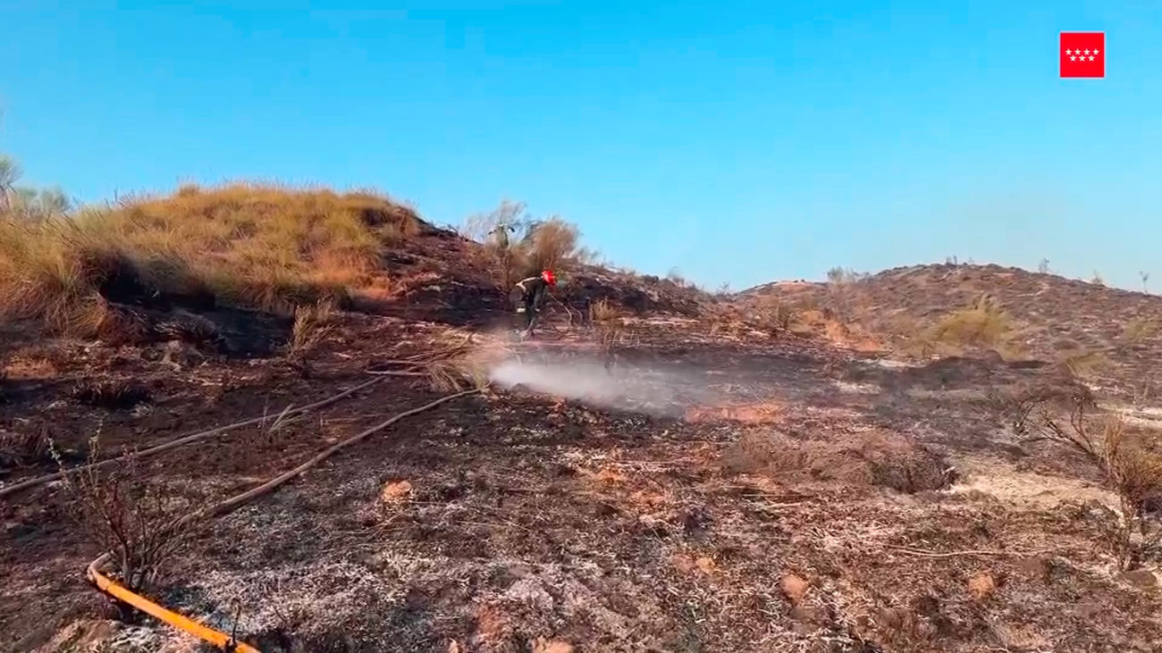 Controlado el incendio de Aranjuez (Madrid) con cerca de 300 hectáreas de vegetación afectadas