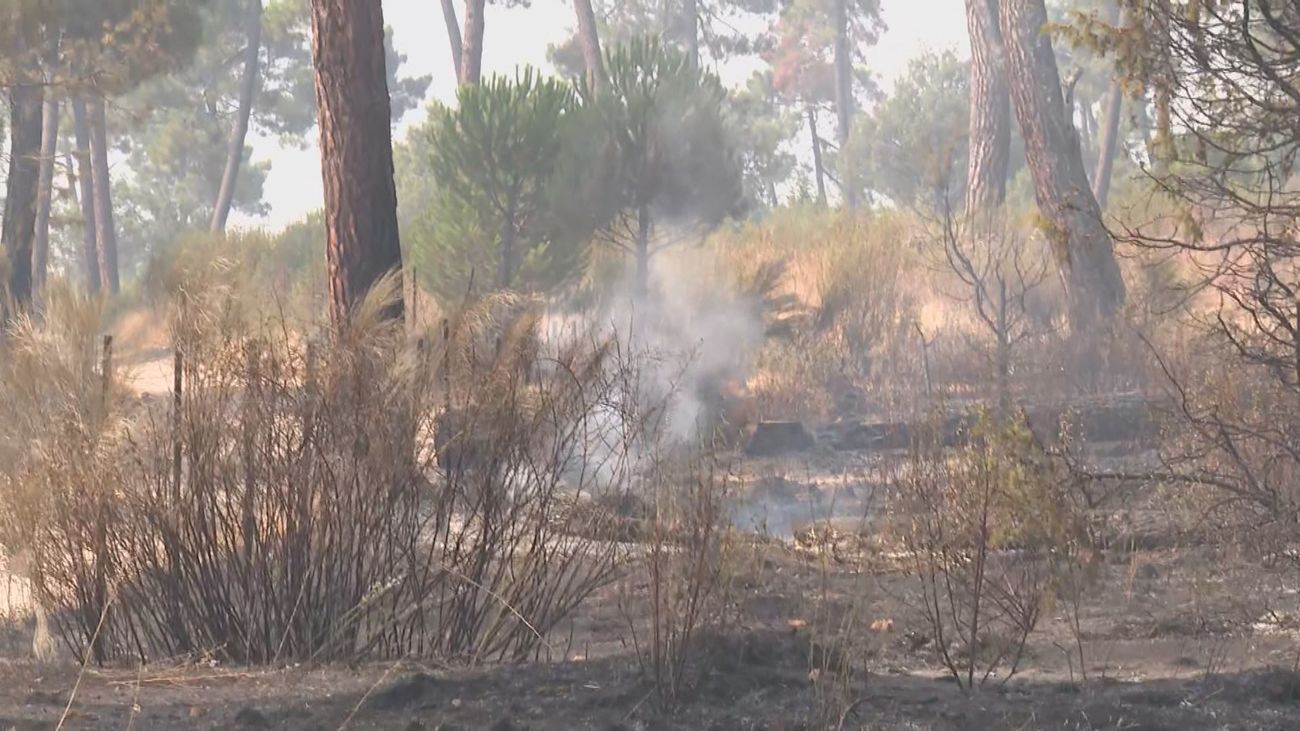 Los 1.500 vecinos de Navas del Marqués continúan fuera de sus casas aunque el incendio no tiene llama