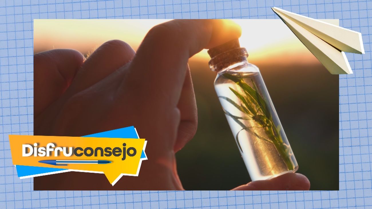 ¿Cómo crear aceites saludables con las flores típicas del verano?