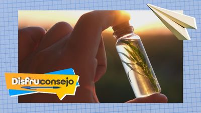 ¿Cómo crear aceites saludables con las flores típicas del verano?