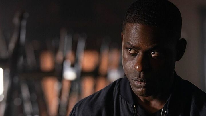 Paradise / Enseriados