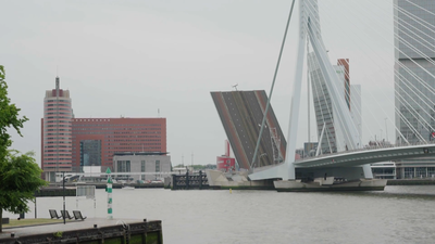 ¿Qué es el 'Cisne Blanco' de Rotterdam?