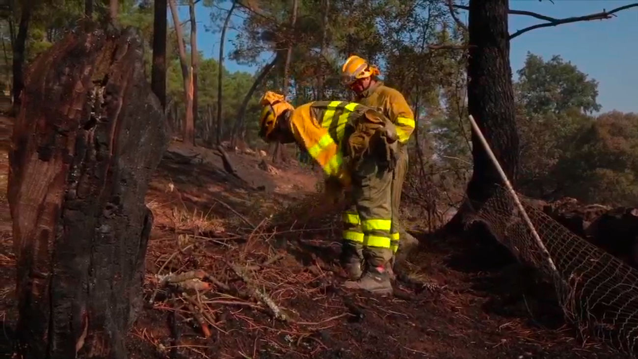 Madrid refuerza los medios para combatir el incendio de San Bartolomé de Pinares (Ávila)