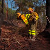 Madrid refuerza los medios para combatir el incendio de San Bartolomé de Pinares (Ávila)