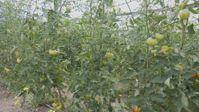 Madrid mejora tu vida 06.08.2025