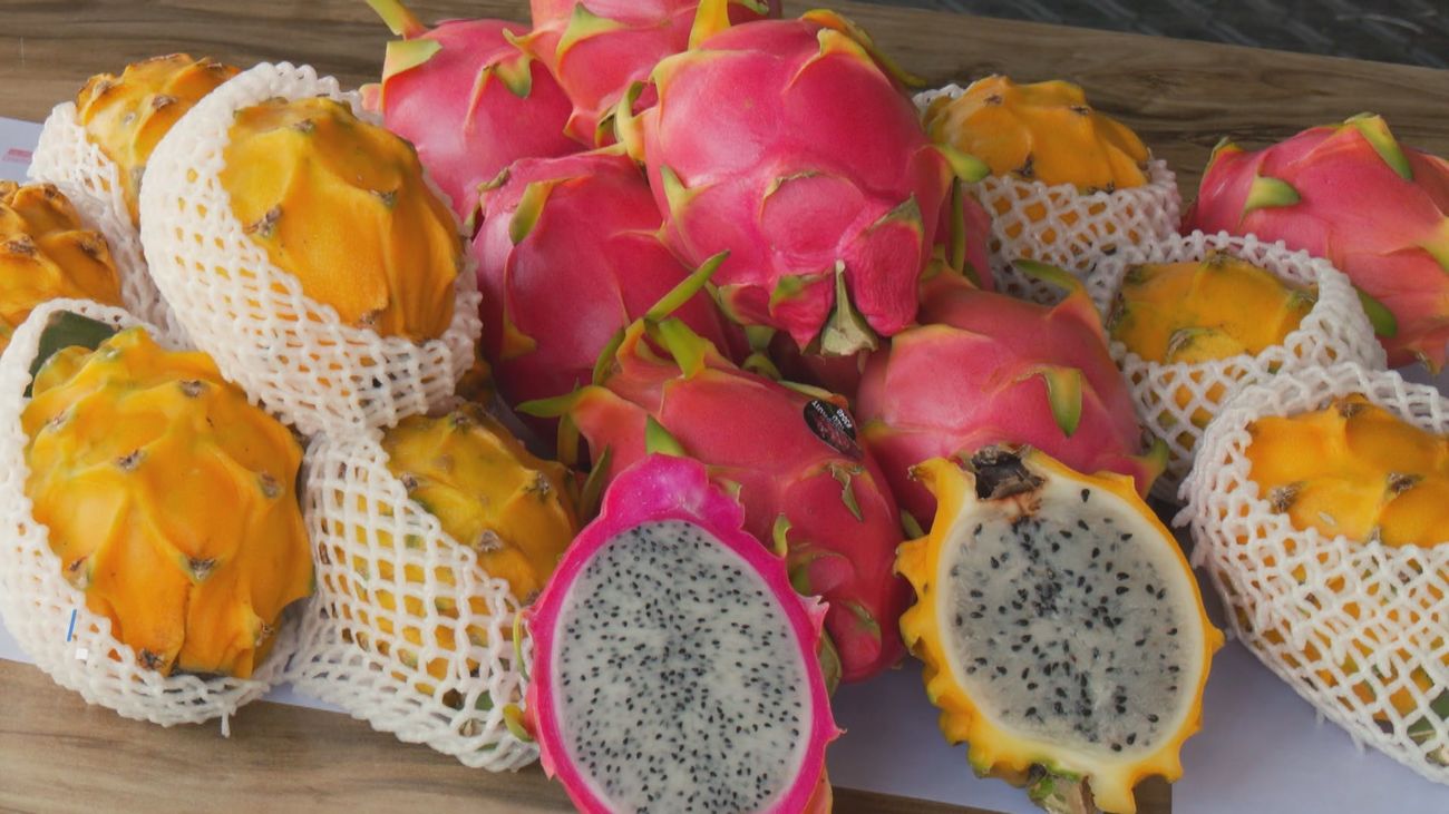 Madrid mejora tu vida 10.08.2025