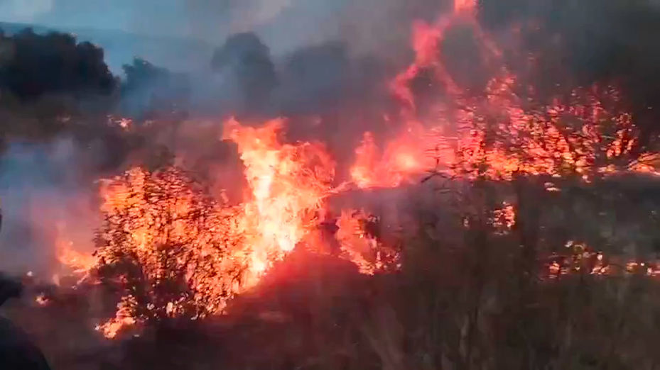 España, asediada por el fuego: 8 Comunidades luchan contra incendios activos