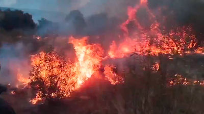 España, asediada por el fuego: 8 Comunidades luchan contra incendios activos